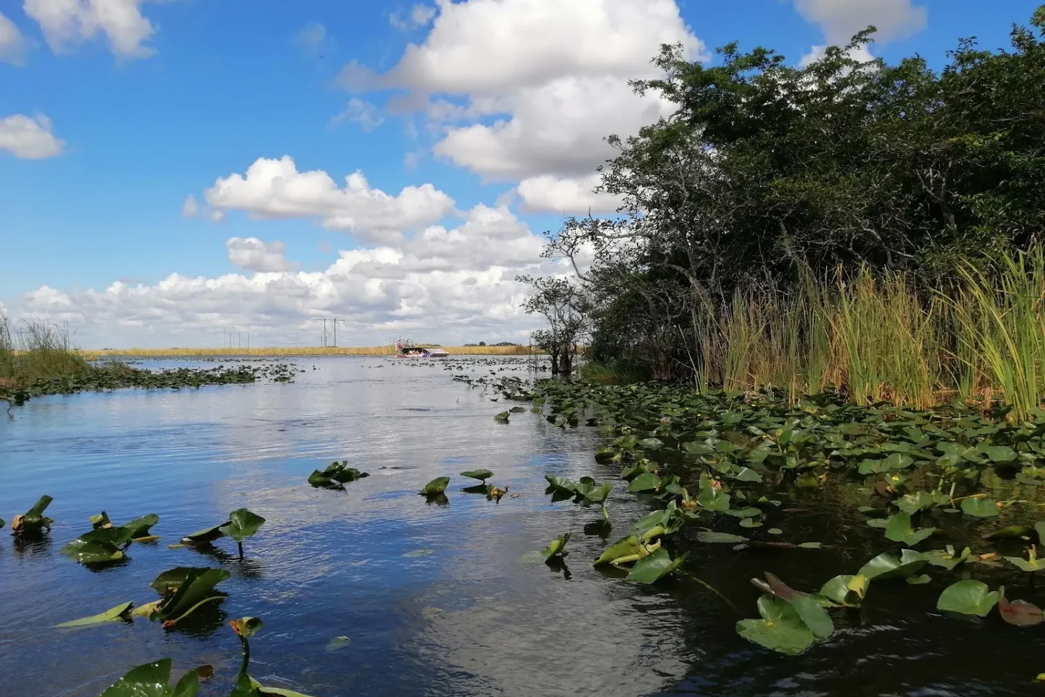 day trip to the everglades from miami beach